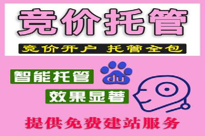 谷歌SEM广告平台的使用技巧：从新手到高手的进阶之路